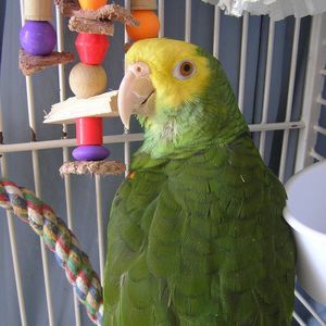 Meet your Posher, Meg